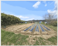  2025Ÿ��370 ��� ���ֽ� �ܵ��� ��� 765-2      ����(��1)���