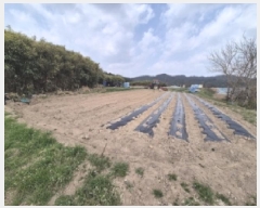  2025Ÿ��370 ��� ���ֽ� �ܵ��� ��� 765-2      ����(��1)���