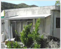  2025Ÿ��390  ���ð��