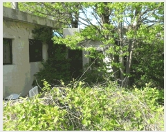  2025Ÿ��390  ���ð��