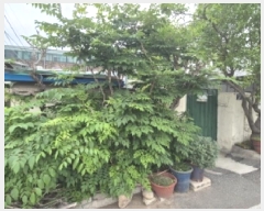  2025Ÿ��402 ��� ���ֽ� ��Ȳ�� 873-19       ���ð��