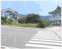  2025Ÿ��410 ��� ���ֽ� ������ 787       ����(����)���