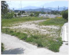  2025Ÿ��410 ��� ���ֽ� ������ 787       ����(����)���