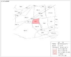  2025Ÿ��410 ��� ���ֽ� ������ 787       ����(����)���