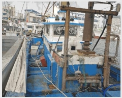  2025Ÿ482           ڰ