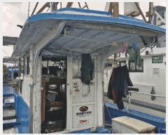  2025Ÿ482           ڰ