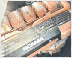  2025Ÿ482           ڰ