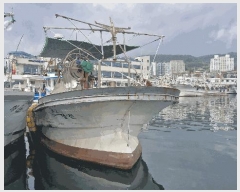  2025Ÿ482           ڰ