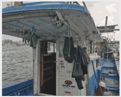  2025Ÿ482           ڰ