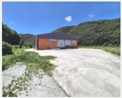  2025Ÿ��494  ���(�󰡽ü�)���