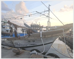  2025Ÿ��522 ��������          ���ڰ��