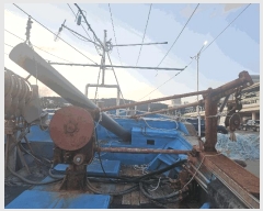  2025Ÿ��522 ��������          ���ڰ��