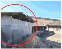  2025Ÿ��10359  ���ð��