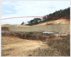  2025Ÿ��10375 ��� ���ֽ� �� 93-1       ����(��1)���