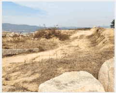  2025Ÿ��10375 ��� ���ֽ� �� 93-1       ����(��1)���