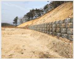  2025Ÿ��10375 ��� ���ֽ� �� 93-1       ����(��1)���