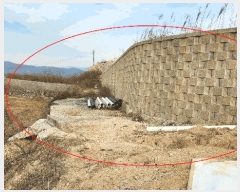  2025Ÿ��10375 ��� ���ֽ� �� 93-1       ����(��1)���