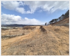  2025Ÿ��10375 ��� ���ֽ� �� 93-1       ����(��1)���