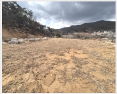  2025Ÿ��10375 ��� ���ֽ� �� 93-1       ����(��1)���