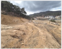  2025Ÿ��10375 ��� ���ֽ� �� 93-1       ����(��1)���