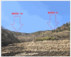  2025Ÿ10379  ֽ 糲  331      ()