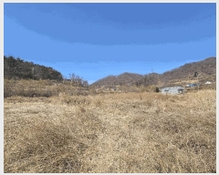  2025Ÿ10379  ֽ 糲  331      ()