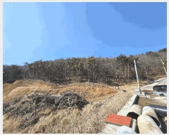  2025Ÿ10379  ֽ 糲  331      ()