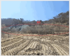  2025Ÿ10379  ֽ 糲  331      ()