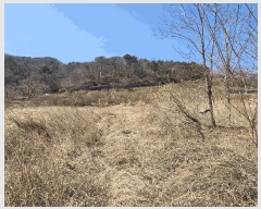  2025Ÿ10379  ֽ 糲  331      ()