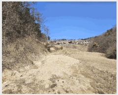  2025Ÿ10379  ֽ 糲  331      ()