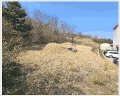  2025Ÿ��10383  �����