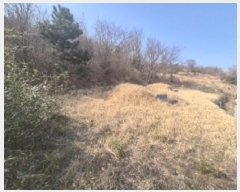  2025Ÿ��10383  �����