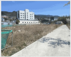  2025Ÿ��10411  ����