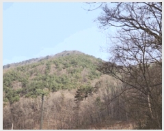  2025Ÿ��10419  �Ӿ߰��