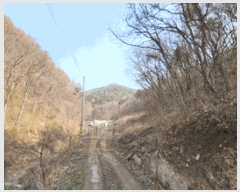  2025Ÿ��10419  �Ӿ߰��