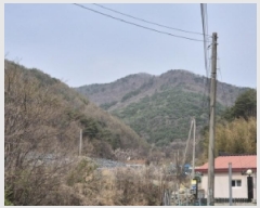  2025Ÿ��10419  �Ӿ߰��