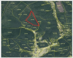  2025Ÿ��10419  �Ӿ߰��