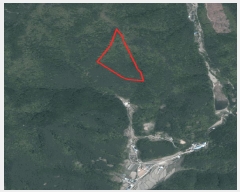  2025Ÿ��10419  �Ӿ߰��