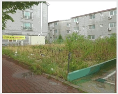  2025Ÿ10427  ֽ ÷ 1147-2       ()