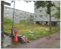  2025Ÿ10427  ֽ ÷ 1147-2       ()