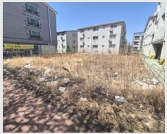  2025Ÿ10427  ֽ ÷ 1147-2       ()