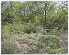  2025Ÿ��10439 ��� ���ֽ� ���ǵ� 895-1       ����(��1)���