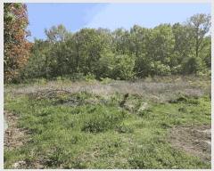  2025Ÿ��10439 ��� ���ֽ� ���ǵ� 895-1       ����(��1)���