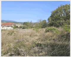  2025Ÿ��10439 ��� ���ֽ� ���ǵ� 895-1       ����(��1)���