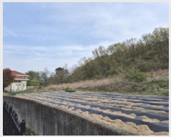  2025Ÿ��10439 ��� ���ֽ� ���ǵ� 895-1       ����(��1)���