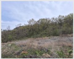  2025Ÿ��10439 ��� ���ֽ� ���ǵ� 895-1       ����(��1)���