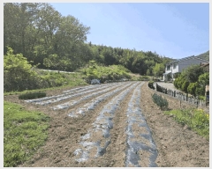  2025Ÿ��10439 ��� ���ֽ� ���ǵ� 895-1       ����(��1)���