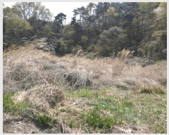  2025Ÿ��10451  ����