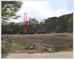  2025Ÿ��10451  ����