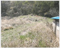  2025Ÿ��10451  ����